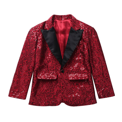 Boys Stylish Sequins Suit