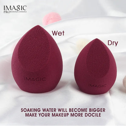 Wet And Dry Makeup removal sponge